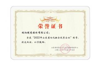 山東省兩化融合優秀企業