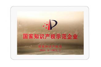 國家知識產權示范企業